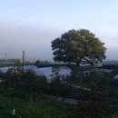 만세동농장 이미지