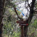 저지오름 이미지