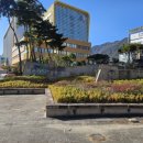 양산부산대학교병원 | 양산부산대학교병원 산부인과 점액성 난소낭종 예약 후기