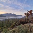 청송시장2 이미지