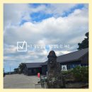 일랑일랑 애견캠핑 인제주 | Camp6. 제주 애견동반 캠핑장 "일랑일랑 애견캠핑 인 제주" 호텔급 캠핑장