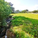 남원주공인중개사사무소 이미지