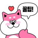 희동이의 하루 이미지