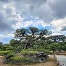 일본 가가와현 예술의 섬(5개섬)투어 및 다카마쓰, 오카야마여행(24년11월28일~12월02일(4박5일) 이미지