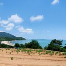 익금해수욕장2 이미지