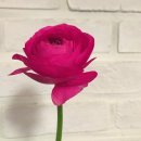 플라워카페(flower cafe)란다