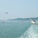 바다의 아침 펜션 이미지