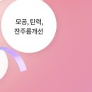 엘클래식 이미지