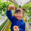 옥정숲속어린이집 이미지