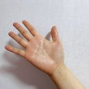 주식회사 더올인원 이미지