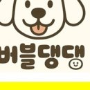 댕댕스파 이미지