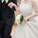 [본식후기] 소피토부케, 엠마우드장미부케 내돈내산 대만족 후기 (+가격)