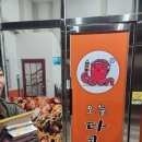 오늘타코야 이미지