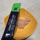 지니케어 | 코코몰리 관절튼튼 케어 데일리 후기｜고양이영양제 지니&amp;아라 고양이관절 관리 시작