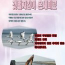 온새미로 Daum카페