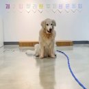 (주)청려원 이미지