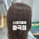 강서구펌염색 스테리헤어 마곡점_ 린아 실장님✨ 나노힐클리닉 찐 후기