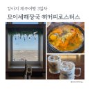 [강아지 제주여행] 안녕 제주! 3일차 미식 엔딩 | 모이세에서 든든하게, 허커피에서 향긋하게