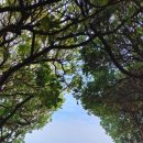 세븐일레븐 해안도로점 이미지