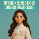 평화5(쌍둥이) 이미지