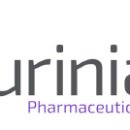 일진개발 이미지