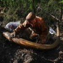 상아무역 이미지