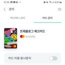 비바보홀 이미지