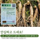 한국농약씨앗 이미지