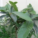 모악농장 이미지