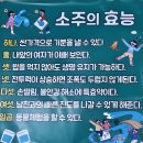 울산 북구 명촌 맛집 철이족발 명촌점