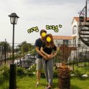 귤낭하우스D 네이버블로그
