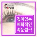 비치앤레푸스 이미지