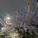 [수원] 인계동에서 이 정도 서비스 처음… 인계곱창 찐후기