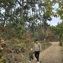 현승각 | 태안 애견동반 여행