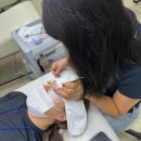 다문화평생교육원 이미지