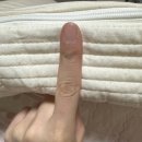 루마인 | 내돈내산 비교하고 고민하다 고른 바닥토퍼 추천 (지누스, 루마인홈 롤링토퍼)