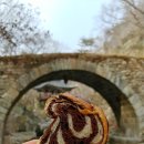 마블링베이커리 이미지