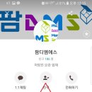 팜디엠에스