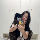 내손으로만드는가족옷 | 애개육아에게 최고인 루아앤콤 강아지커플옷 후기