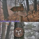 2009.11.14 土 춘천분지종주 졸업산행의 날에..(배후령~수리봉~춘천댐) 이미지