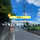 (주)제주케이여행사 | 저가 항공사 진에어 제주항공 등 항공권 특가 가격, 성공 후기 총정리