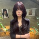 커런트브라운