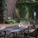 스테이우린 이미지