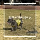 멍지트 이미지