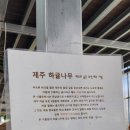 산인-1 | [함안산인카페] 제주감성 온실 대형카페 '아라깨비베이커리식물원카페'