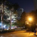 수연밥상 네이버블로그