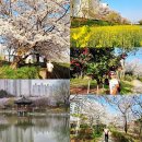 죽림 근린공원 이미지