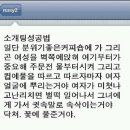 솔깃컴퍼니