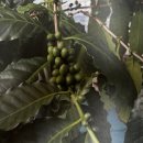 합심농장 이미지