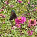 일건농장 이미지